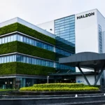 Haleon