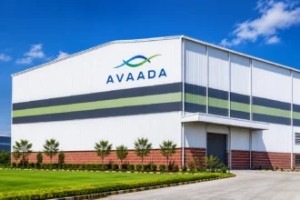 Avaada