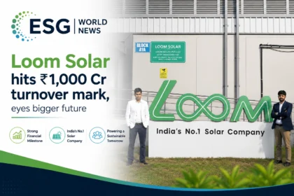 Loom Solar