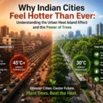 Urban Heat Island Effect