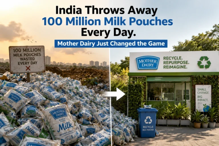 Mother Dairy Packaging